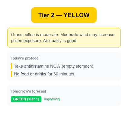 Sinus Shield dashboard preview